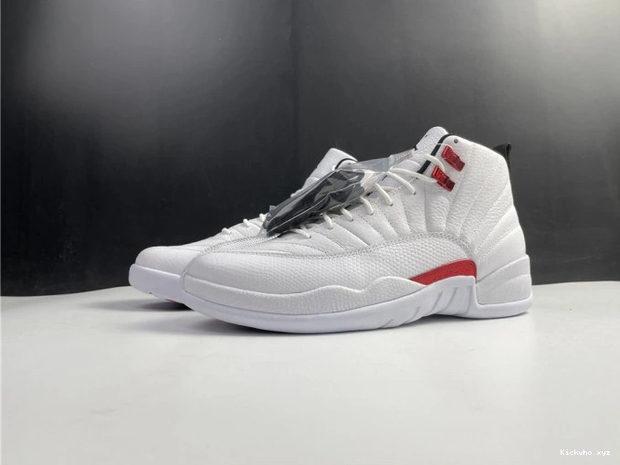 CT8013-106 Twist Jordan Air 12 0717